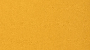 Ковролин Vorwerk Passion 1000/Modena Vorwerk 2d87 фото 1 | FLOORDEALER