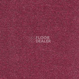 Ковролин AW Energy 69 фото 1 | FLOORDEALER