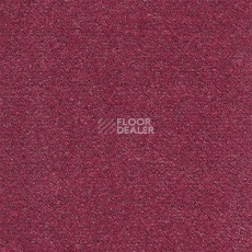 Ковролин AW Energy 69 фото 1 | FLOORDEALER