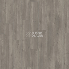 Kronotex Exquisit Plus d6013 Дуб Эльба Серебряный фото 3 | FLOORDEALER