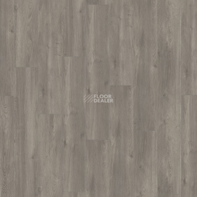 Ламинат Kronotex Exquisit Plus d6013 Дуб Эльба Серебряный фото 3 | FLOORDEALER