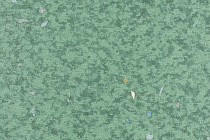 Линолеум Forbo Emerald Spectra 5585 фото 1 | FLOORDEALER