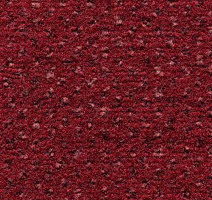 Ковролин Condor Carpets Argus 211 фото 1 | FLOORDEALER