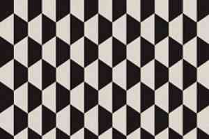 Ковролин Halbmond Black & White 13926 фото  | FLOORDEALER