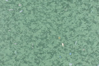 Линолеум Forbo Emerald Spectra 5585 фото 1 | FLOORDEALER