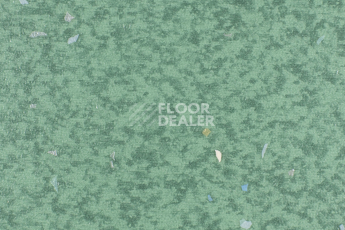 Линолеум Forbo Emerald Spectra 5585 фото 1 | FLOORDEALER