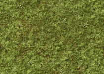 Ковролин Halbmond Pure Elements 13839 фото 1 | FLOORDEALER