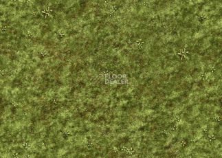 Ковролин Halbmond Pure Elements 13839 фото 1 | FLOORDEALER