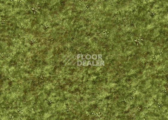 Ковролин Halbmond Pure Elements 13839 фото 1 | FLOORDEALER