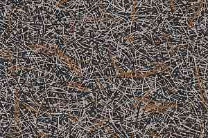 Ковролин Flotex by Starck Vortex 313003 Vortex Terracotta a3 фото  | FLOORDEALER