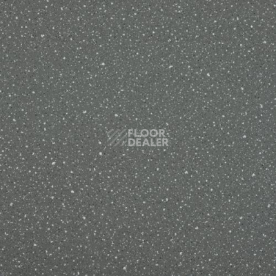 Линолеум Lg Compact CT90523 фото 1 | FLOORDEALER