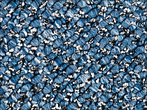 Ковролин Timzo Flamingo 8533 фото 1 | FLOORDEALER