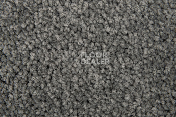 Haima Noble 60 фото 3 | FLOORDEALER
