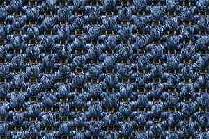 Ковролин Carpet Concept Eco Tre 681145 фото  | FLOORDEALER