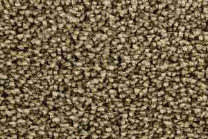 Ковролин Edel Wild Romance 144 фото  | FLOORDEALER