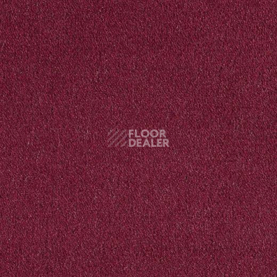 Ковролин Lano Bergamo Ber 0060 фото 1 | FLOORDEALER