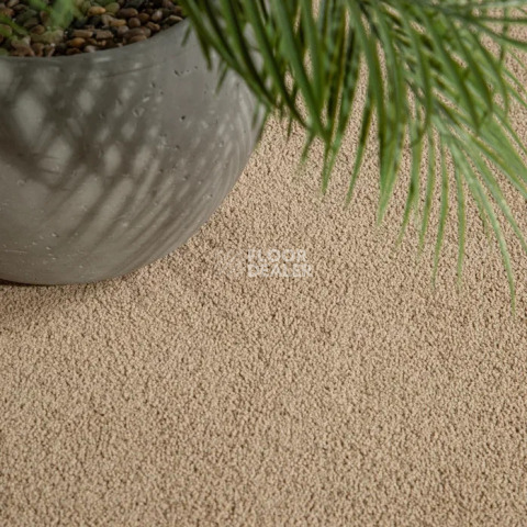 Haima Noble 41 фото 7 | FLOORDEALER