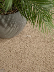 Haima Noble 41 фото 7 | FLOORDEALER