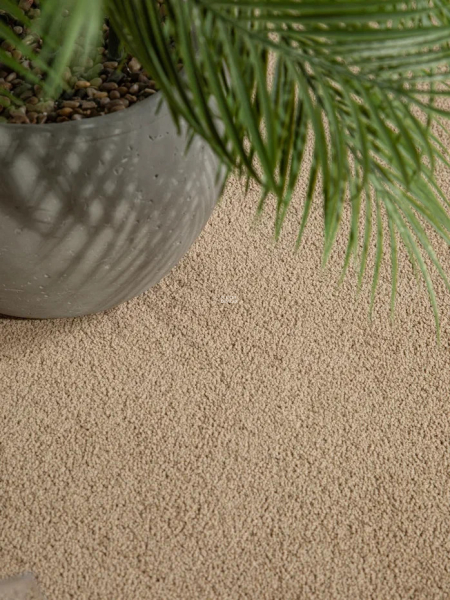 Haima Noble 41 фото 7 | FLOORDEALER