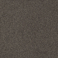 Ковровая плитка Modulyss Gleam Gleam 894 фото 1 | FLOORDEALER