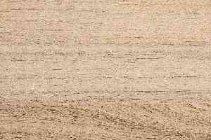 Линолеум Novoflor Standard 4700_8 фото  | FLOORDEALER