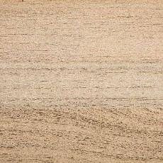 Линолеум Novoflor Standard 4700_8 фото 1 | FLOORDEALER