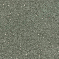 Линолеум Tarkett iQ Aria CARII-664 фото 1 | FLOORDEALER