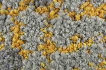 Ковровая плитка ColorKey ColorKey c 03 фото 1 | FLOORDEALER