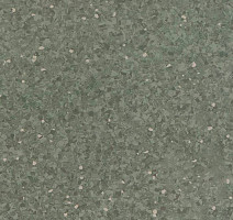 Линолеум Tarkett iQ Aria CARII-664 фото 1 | FLOORDEALER