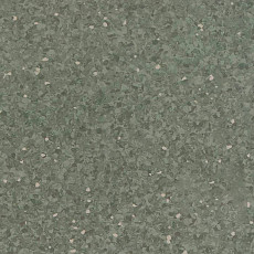 Линолеум Tarkett iQ Aria CARII-664 фото 1 | FLOORDEALER