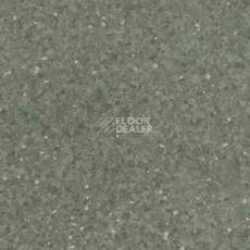 Линолеум Tarkett iQ Aria CARII-664 фото 1 | FLOORDEALER