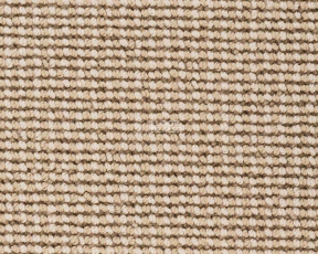 Best Wool Pure Savannah 119 фото 1 | FLOORDEALER