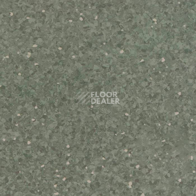 Линолеум Tarkett iQ Aria CARII-664 фото 1 | FLOORDEALER