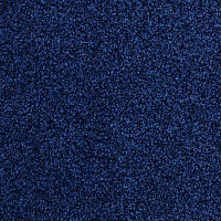 Desso Torso-Brlm 8813 фото 1 | FLOORDEALER