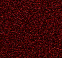 Ковролин Edel Wild Romance 155 фото 1 | FLOORDEALER