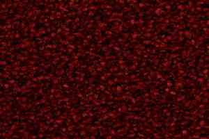 Ковролин Edel Wild Romance 155 фото  | FLOORDEALER