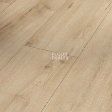 Ламинат Parador Trendtime 6 1744709 Дуб Pure Loft фото 1 | FLOORDEALER