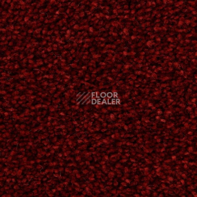 Ковролин Edel Wild Romance 155 фото 1 | FLOORDEALER