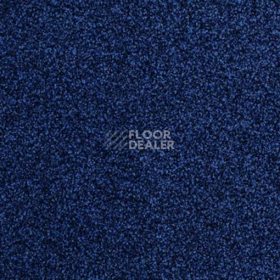 Ковролин Desso Torso-Brlm 8813 фото 1 | FLOORDEALER