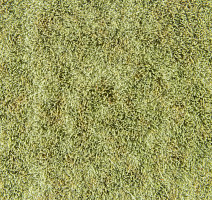 Flotex Colour s 445027 Canyon Kelp фото 3 | FLOORDEALER