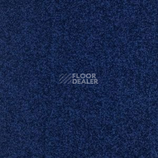 Ковровая плитка Balsan Serenite Dalle 191 Serenite Dalle фото 1 | FLOORDEALER