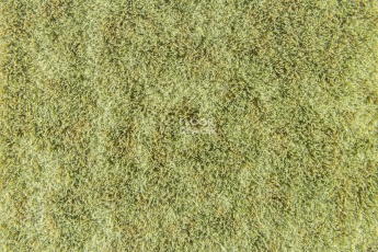 Flotex Colour s 445027 Canyon Kelp фото 3 | FLOORDEALER