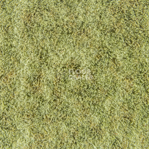 Forbo Flotex Colour s 445027 Canyon Kelp фото 3 | FLOORDEALER