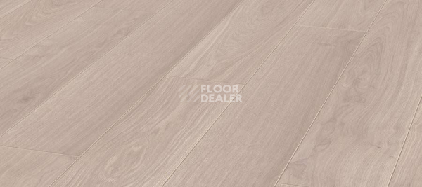 Ламинат Kronotex Exquisit 8мм d2873 Дуб Вейвлесс Белый фото 1 | FLOORDEALER