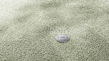 Ковролин Vorwerk Superior 1067 Mira Vorwerk 4g82 фото 1 | FLOORDEALER