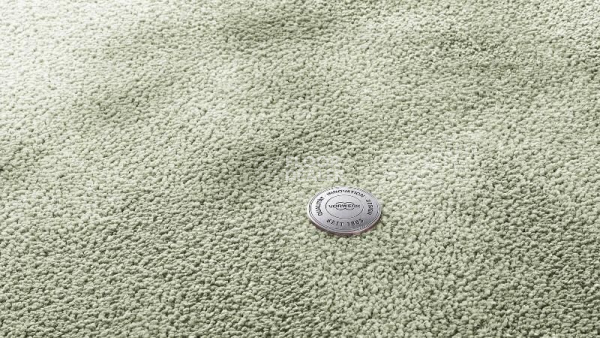 Ковролин Vorwerk Superior 1067 Mira Vorwerk 4g82 фото 1 | FLOORDEALER