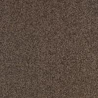 Ковровая плитка Balsan Serenite Dalle 771 Serenite Dalle фото 1 | FLOORDEALER