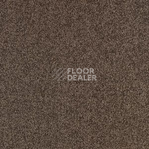 Ковровая плитка Balsan Serenite Dalle 771 Serenite Dalle фото 1 | FLOORDEALER