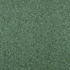 Линолеум Lg Trendy TD12503 фото 1 | FLOORDEALER