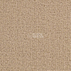 Ковролин Balsan Residentiel DD 605 фото 1 | FLOORDEALER